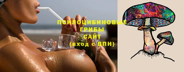 тгк Зеленокумск