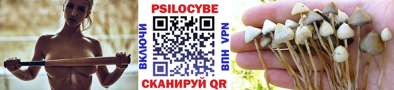 Купить закладки  Изобильный  Псилоцибиновые грибы ЛСД 